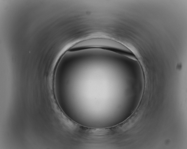 X0000096721008200802121244