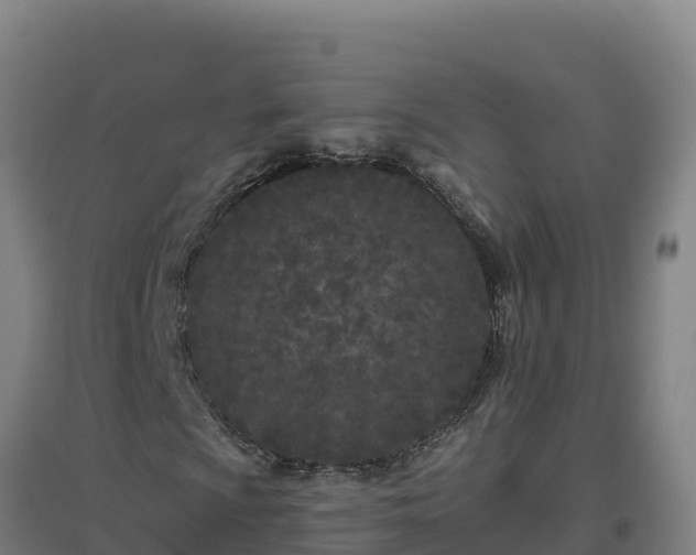 X0000096721009200802121243