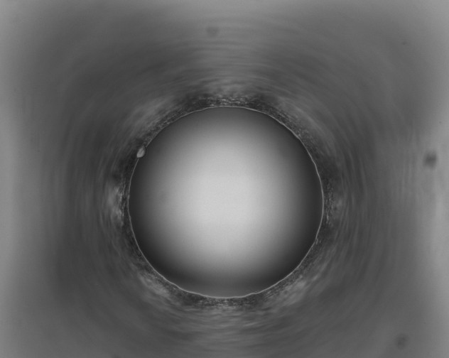 X0000096721010200802121243