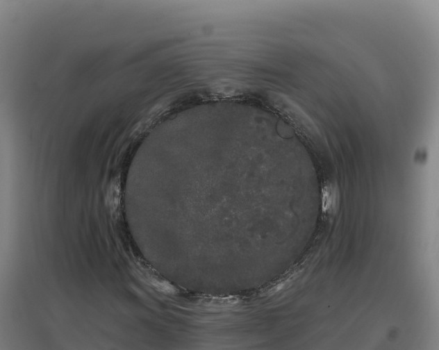 X0000096721011200802121243