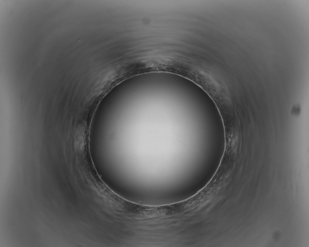 X0000096721012200802121243