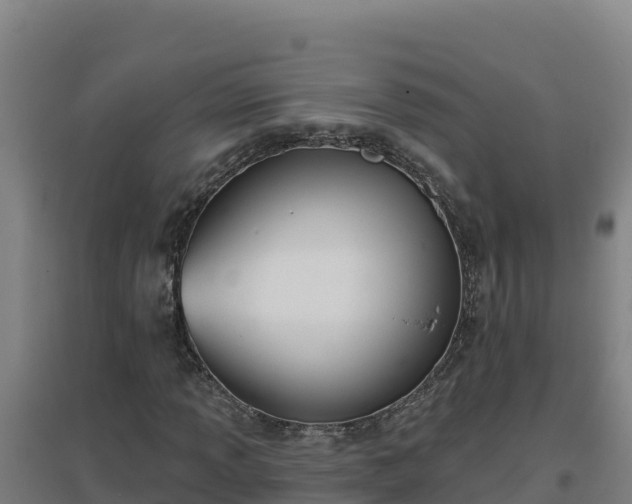 X0000096721013200802121243