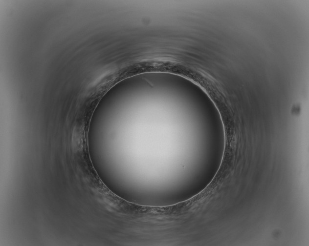 X0000096721014200802121243
