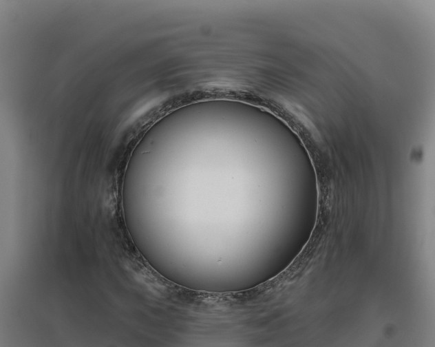 X0000096721015200802121243