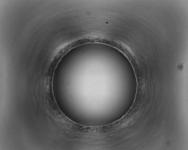 X0000096721016200802121243