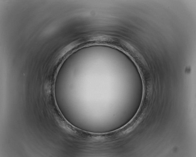 X0000096721017200802121243