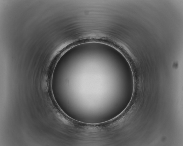 X0000096721018200802121243