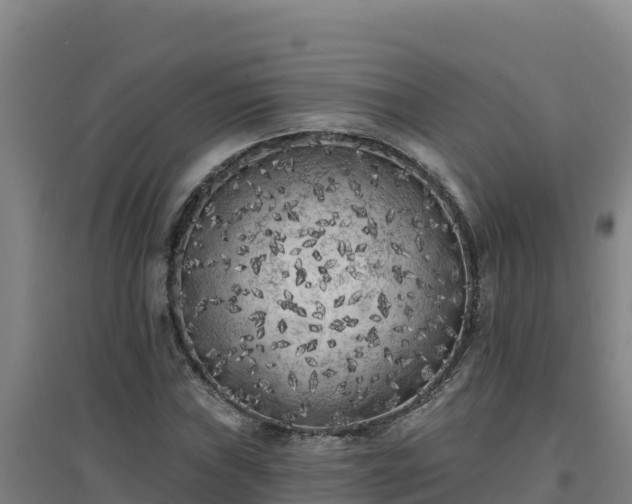 X0000096721019200802121243