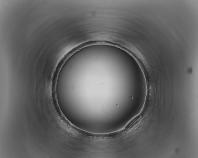 X0000096721020200802121243