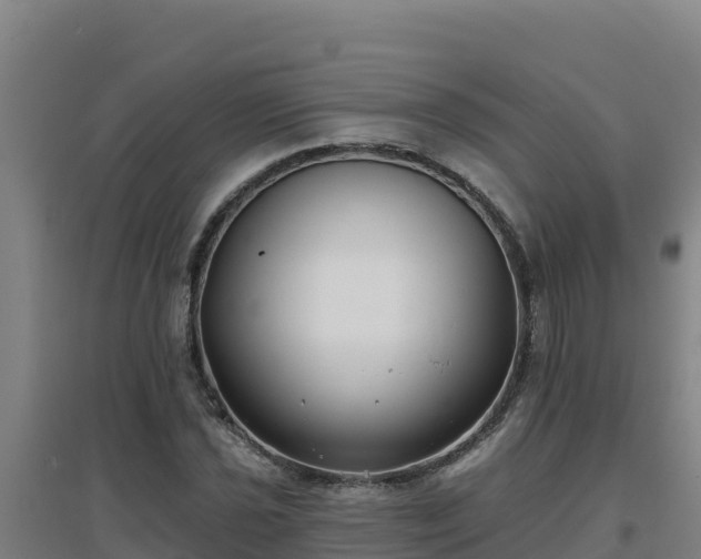 X0000096721021200802121243