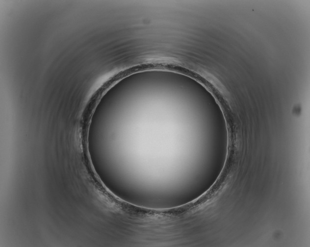 X0000096721022200802121243