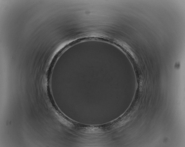 X0000096721024200802121243