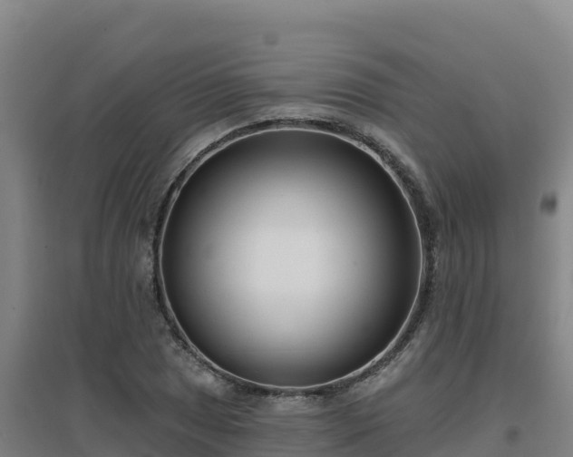 X0000096721025200802121243