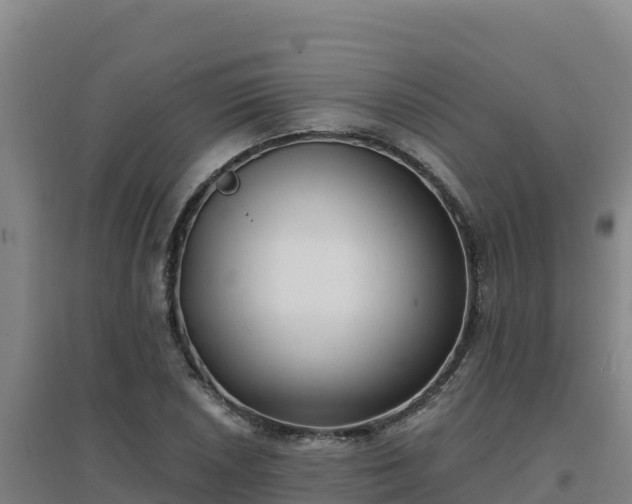 X0000096721026200802121243