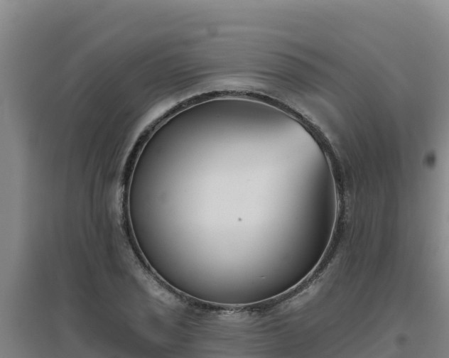 X0000096721029200802121243