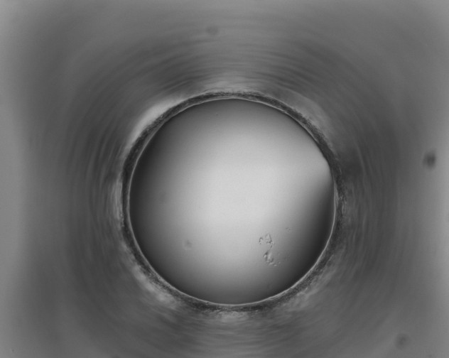 X0000096721030200802121243