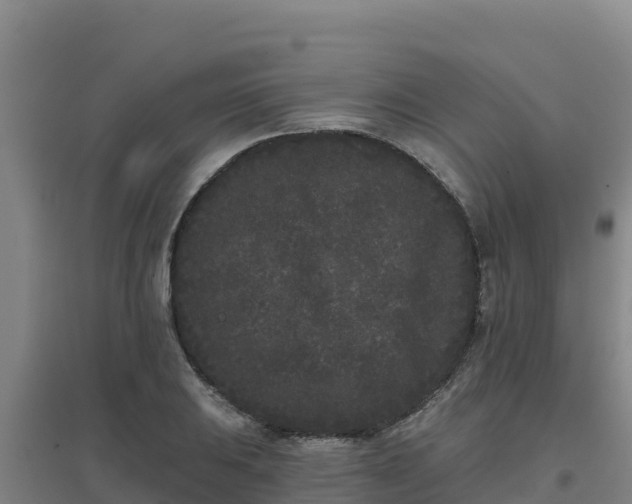 X0000096721031200802121243