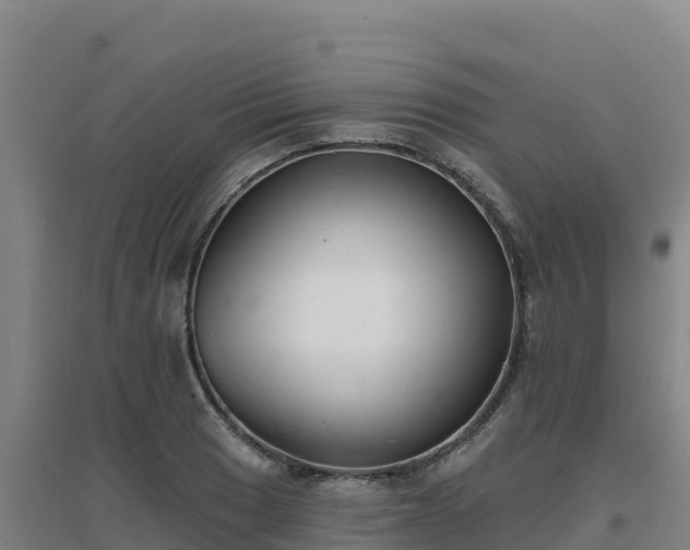 X0000096721033200802121243