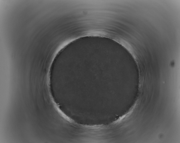 X0000096721037200802121244