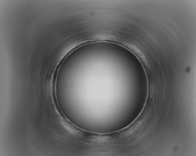 X0000096721039200802121244
