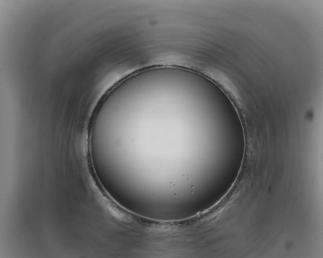 X0000096721040200802121244