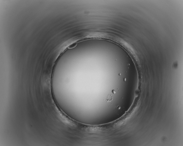 X0000096721041200802121244