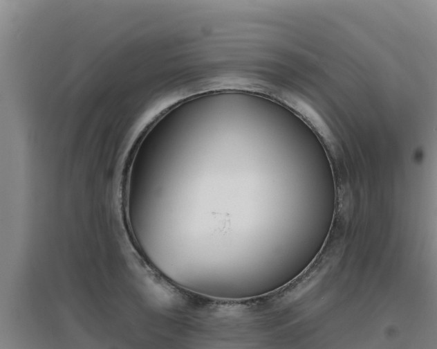 X0000096721043200802121244