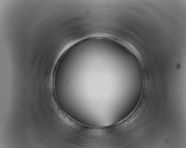 X0000096721044200802121244