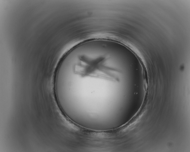 X0000096721045200802121244