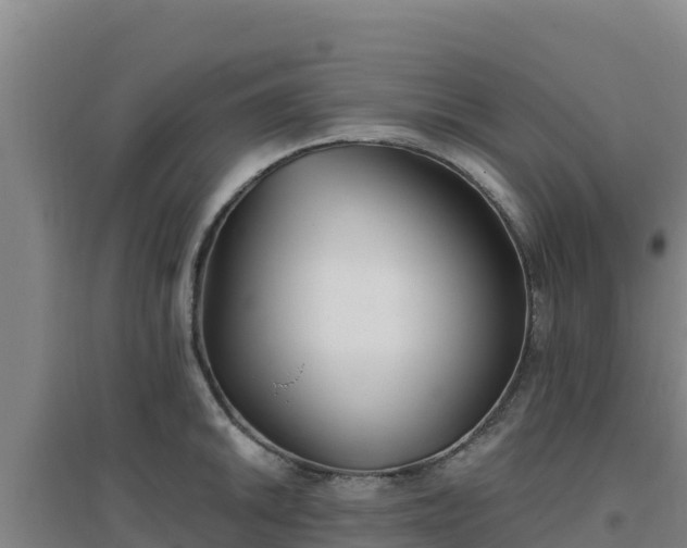 X0000096721046200802121244