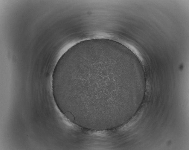 X0000096721047200802121244