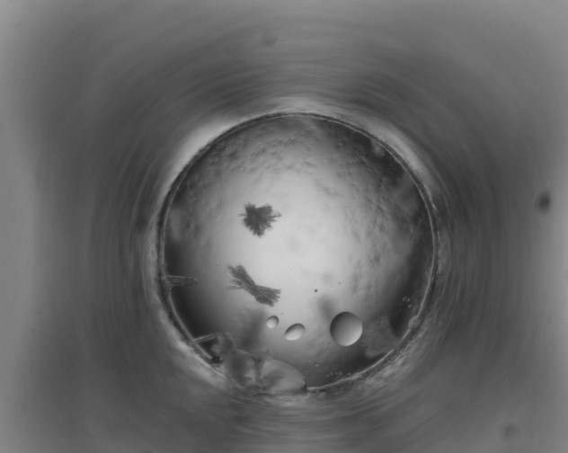 X0000096721048200802121244
