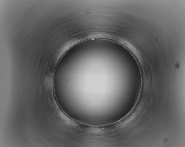 X0000096721049200802121244