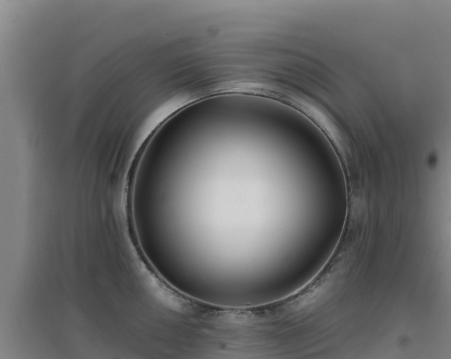 X0000096721050200802121244