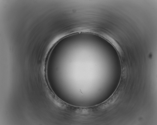 X0000096721051200802121244