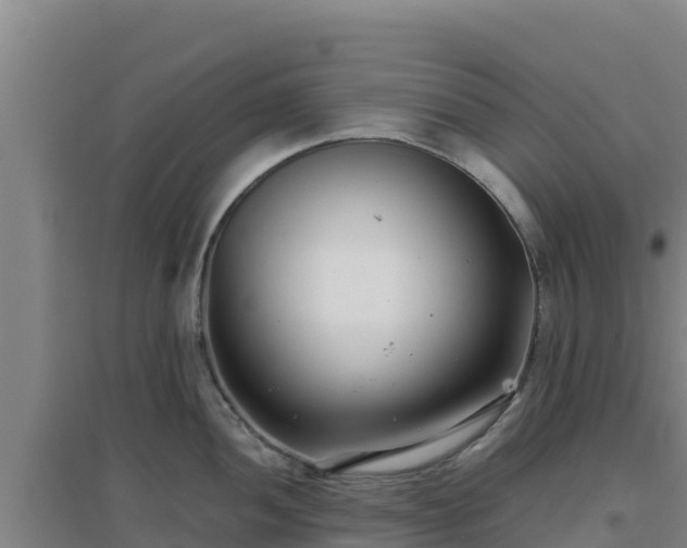 X0000096721052200802121244