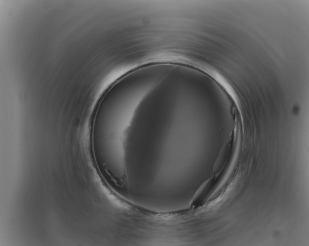 X0000096721053200802121244