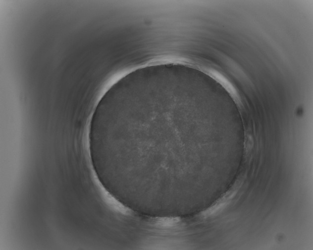 X0000096721055200802121244