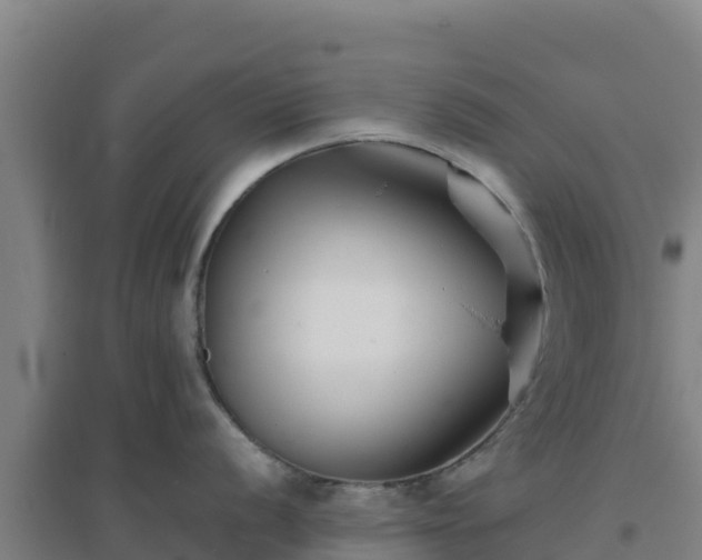 X0000096721056200802121244