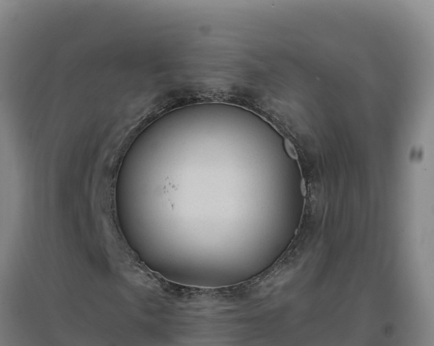 X0000096721057200802121243
