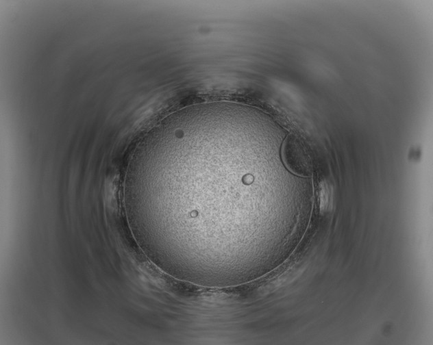 X0000096721059200802121243