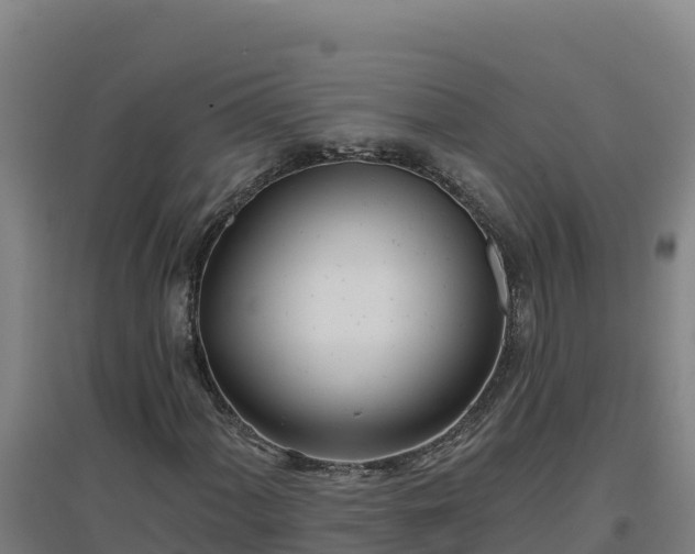 X0000096721060200802121243