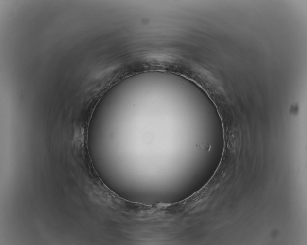 X0000096721061200802121243