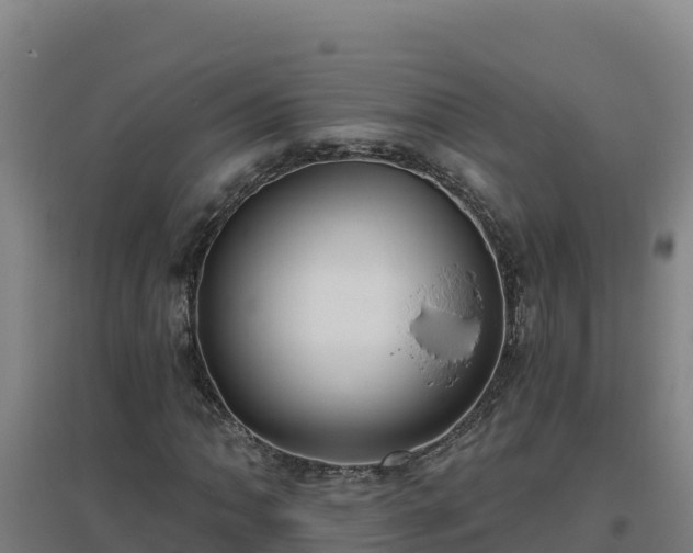 X0000096721062200802121243