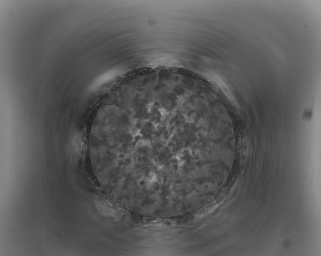 X0000096721063200802121243