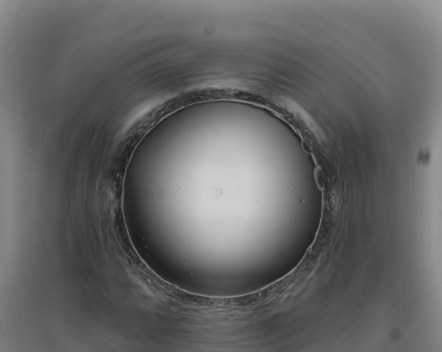 X0000096721064200802121243