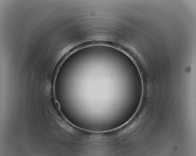 X0000096721065200802121243