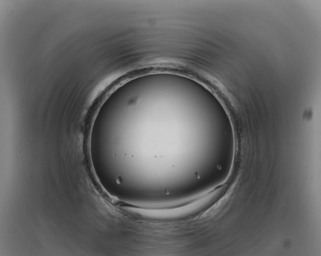 X0000096721066200802121243