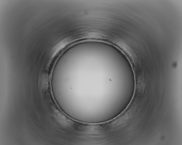 X0000096721067200802121243