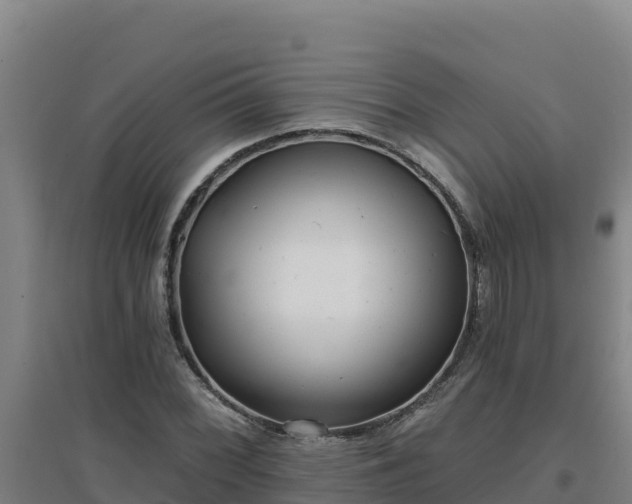 X0000096721068200802121243